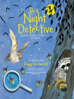 cover image of Be a Night Detective